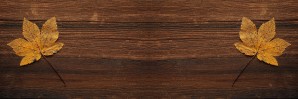 Autumn Leave on Wood